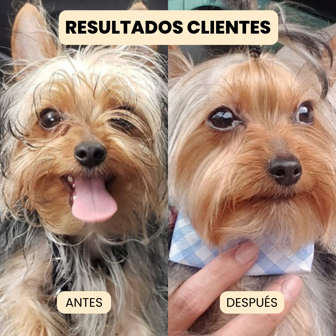Cepillo de Vapor 3 en 1 - Elimina Muda de Pelo de Mascotas